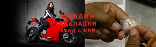 крисы Алзамай