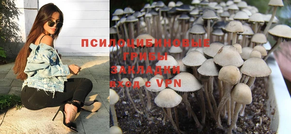 apvp Алексеевка