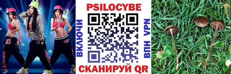 Псилоцибиновые грибы ЛСД  купить закладку  Звенигово 